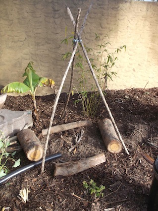 the front garden's gray water filter and rain runoff are all hidden under this little wigwam