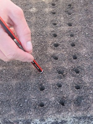 preparing the holes for sowing seed