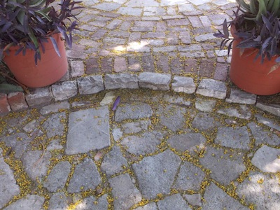 hard landscaping using 4 different recycled materials, bricks, concrete shatter, cobble stones and plastic tub