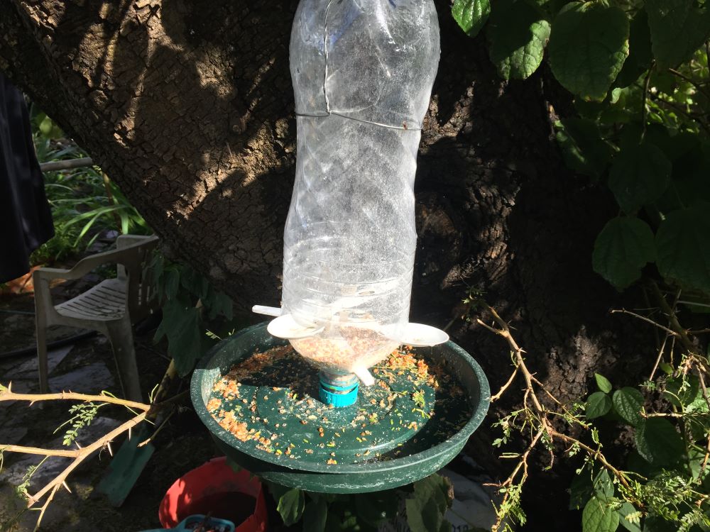 abirdfeeder.jpg abirdfeeder.jpg