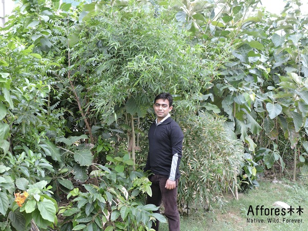 Shubhendu Sharma with his living green afforestation machines