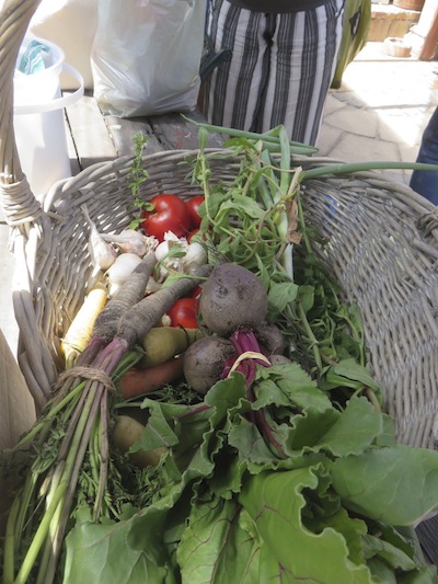 A hamper of organic veggies brought to Zayaan Kahn's fermentation workshop at Cape Point