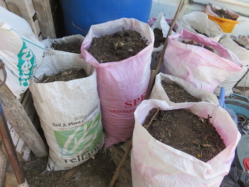 The bagged humanure compost contains mycelium from our garden mushroom