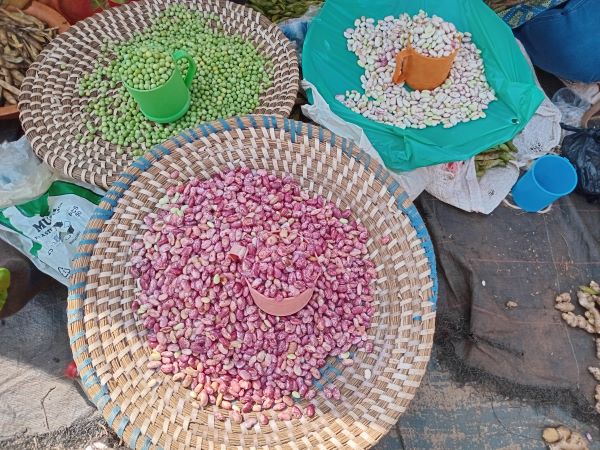A diversity of beans sorted by ladies at the market