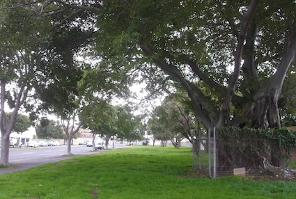 green ribbons along the major arteries give a place to walk the dog, and somewhere for the homeless to camp