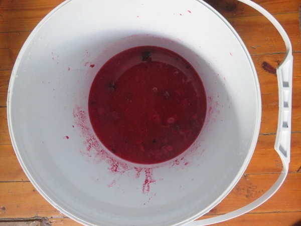 open primary fermentation of Numnum berries