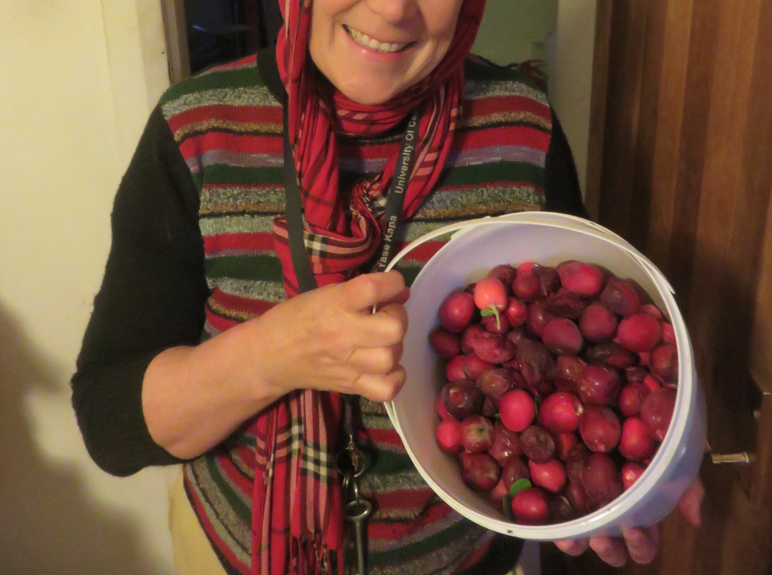 A bucket of local Numnum berries I used for making delicious vinegar.