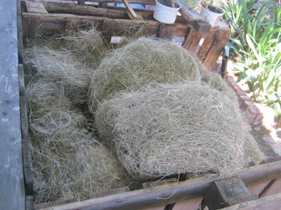 thick lid of straw