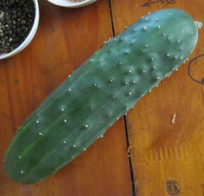 The cucumber on the kitchen table ready to be made into juicy salad