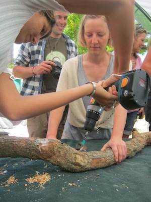 drill a hole in the log