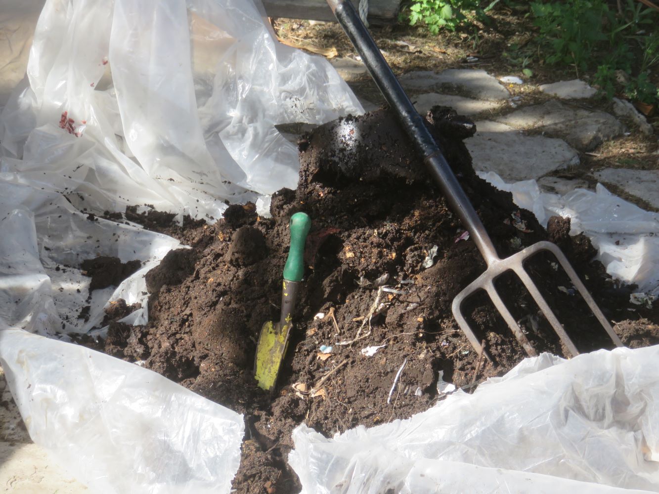 Vermicast can add microbial diversity to soil.