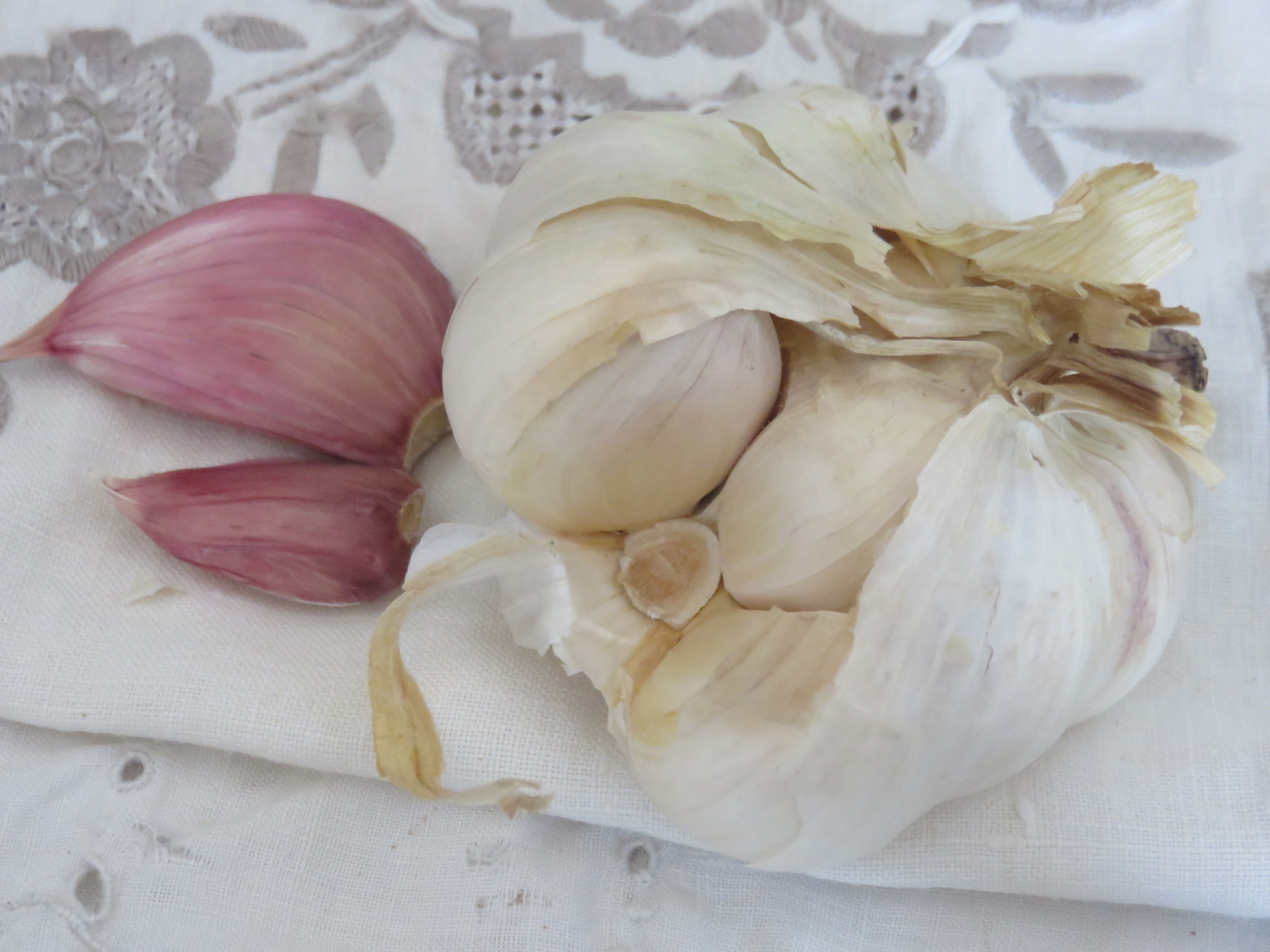 Garlic is a super herb for its wide spectrum of protection against degenerative disease