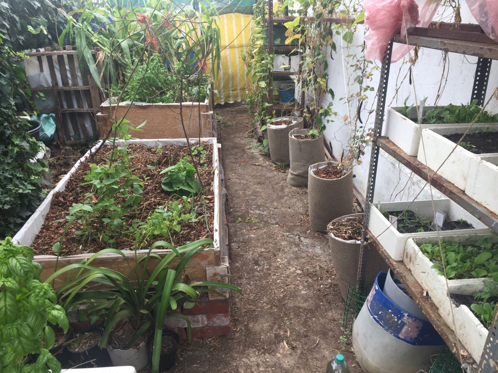 nursery and raised beds