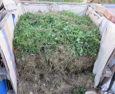 the icing on the cake for soil bacteria