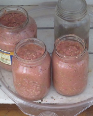 guava pulp in primary fermentation