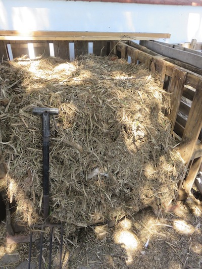 The shredded garden waste in the humanure composter