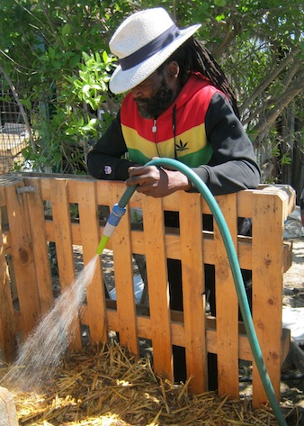 water feeds the microbes, who make the organic fertilizer