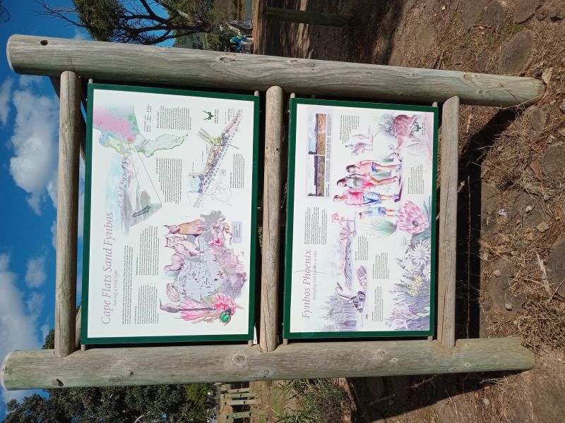 Something to inform on our favourite vegetation type at the entrance to the Tokai Restoration Project trails. Tokai restoration project entrance