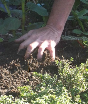rough soil remove coarse material