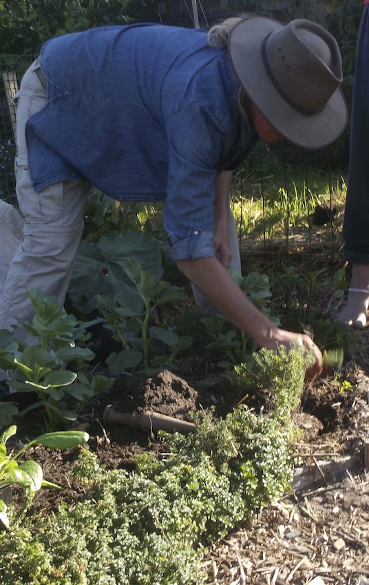 the permaculturist karen parkin at work. She has grown organic food for two decades.