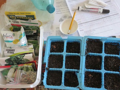 seed trays, seeds, sowing calendars, pencil, delicate sprinkler