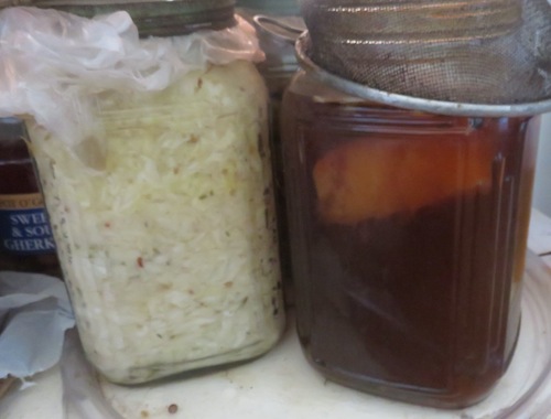 Kraut from 2 large white cabbages on the left, Kombucha, a sugar and tannin ferment on the right