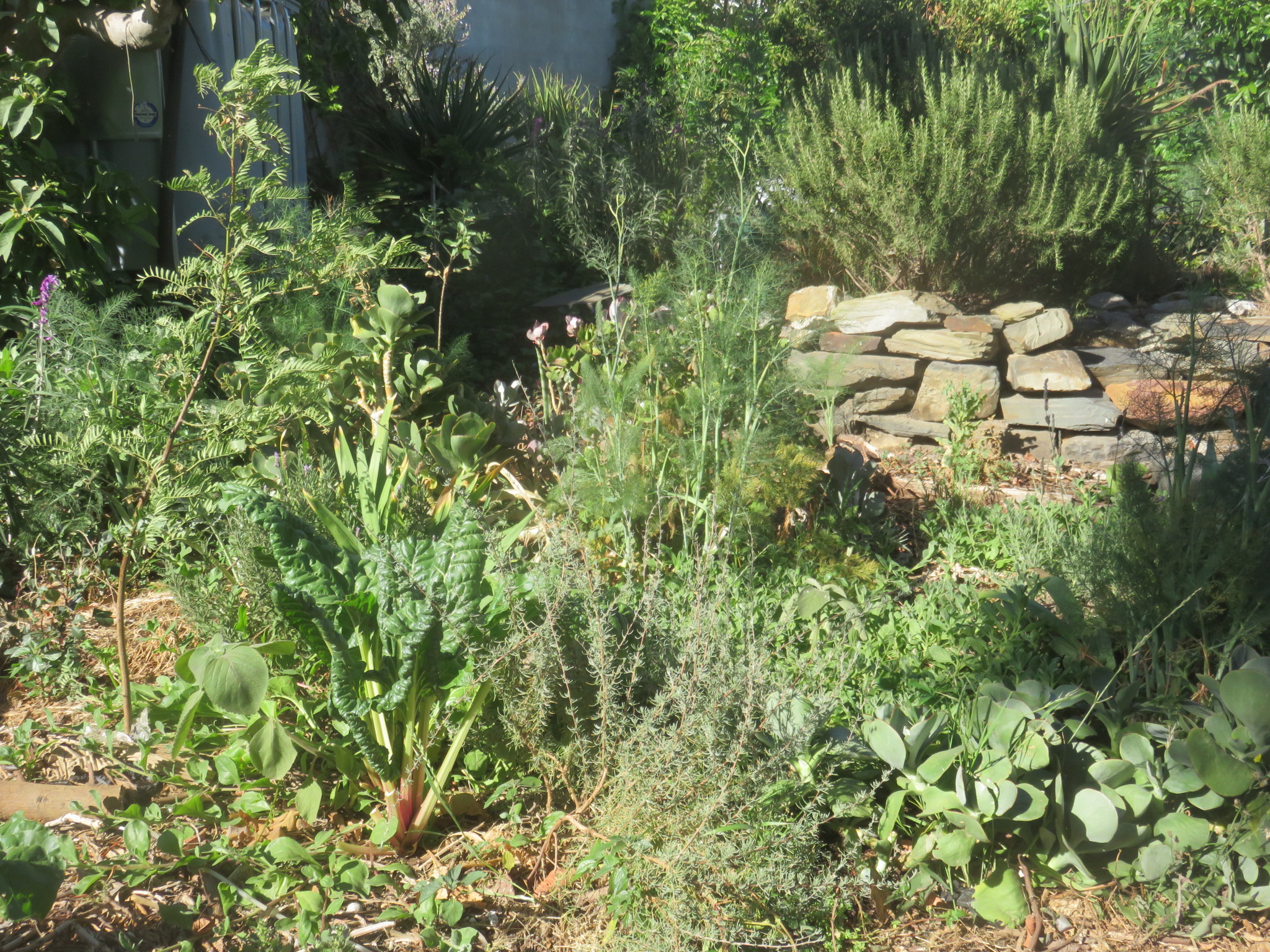 The herb garden in Goodwood.