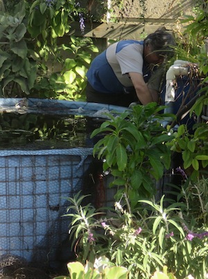 fixing some nets