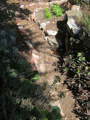one of the soft garden paths floored with leaf mulch which meanders through the vegetable garden