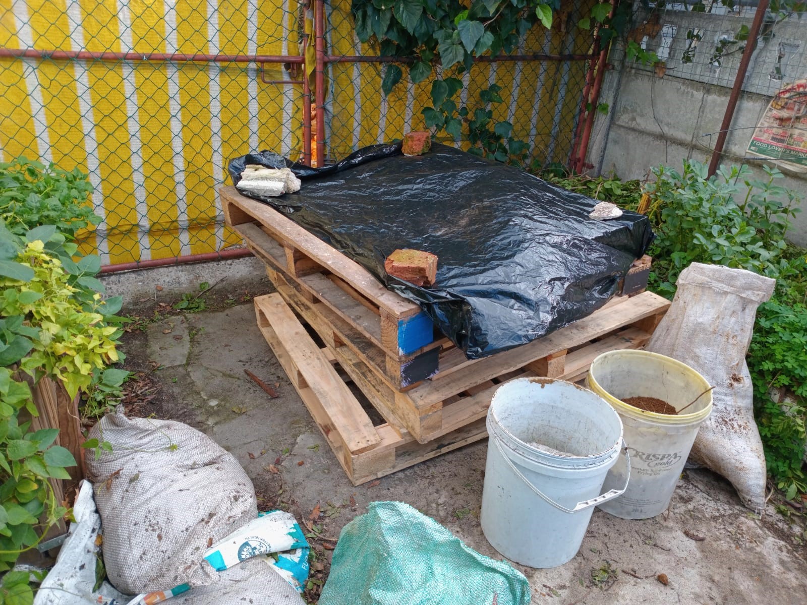 Pallets waiting for assembly to fulfil the new garden plan. 