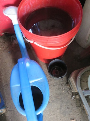 mature urine added to compost