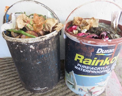 collect kitchen waste in any old buckets