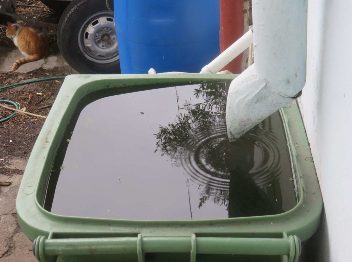 How to save water from the sky. Use whatever rain tanks you can afford. But recharge the groundwater too. This tank was a refuse bin.