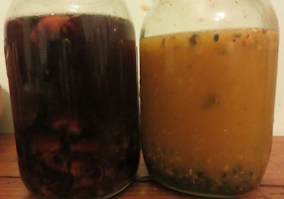 tamarillo and grenadilla seeds fermenting