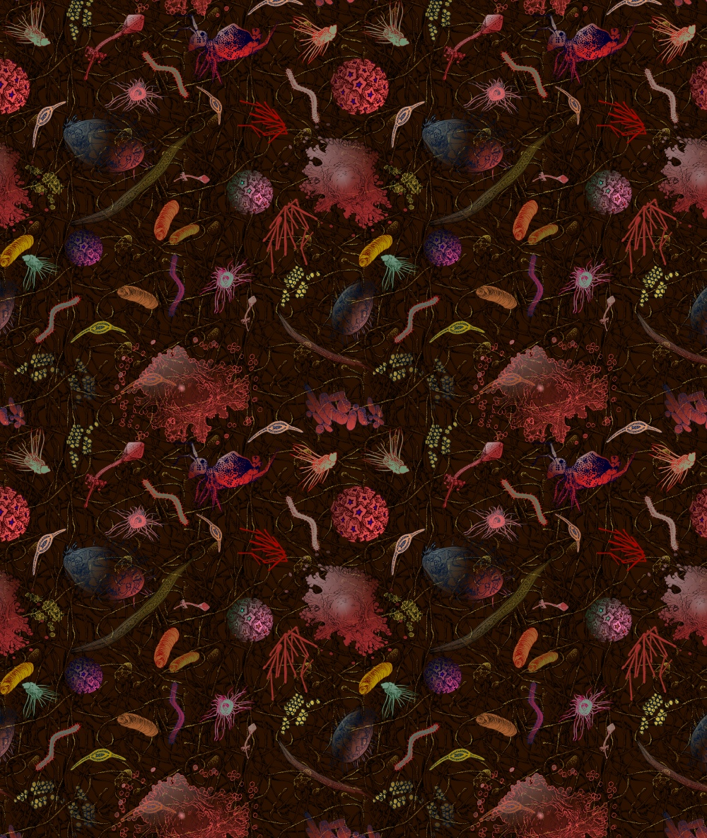 My soil microbe design on Redbubble