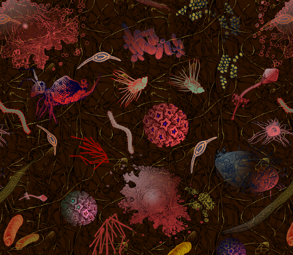 In this close up you can see most of the creatures in the soil microbe design