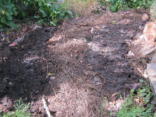 The finished partly shaded south beds used to be raised