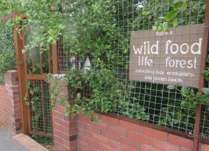 Garden for wildlife