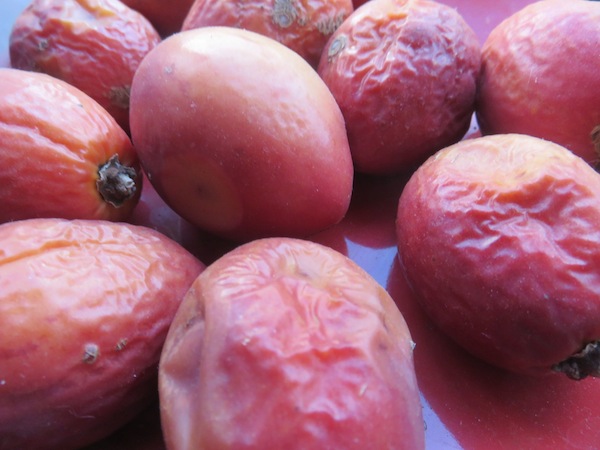 Over ripe tamarillos. Scoop out the seeds and ferment.
