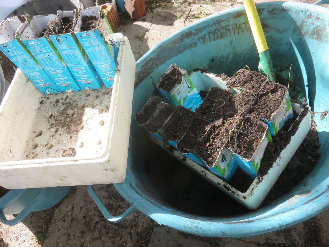 Moving filled planters to a clean carton